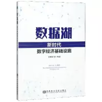 音像数据湖(新时代数字经济基础设施)编者:林拥军