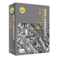 音像原发心肌病组织形态与超微结构图谱赵红
