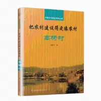 音像把农村建设得更像农村:高椅村胡鹏飞著