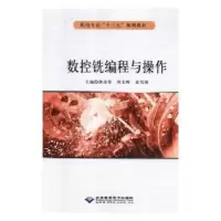 音像数控铣编程与操作洪美琴,周名辉,聂笃伟