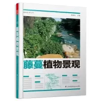 音像藤蔓植物景观周厚高