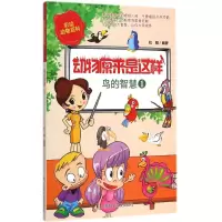 音像鸟的智慧杜刚 编著