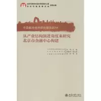 音像中国都市经济研究报告2014张辉 等 著
