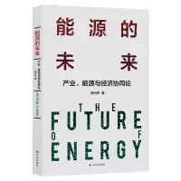 音像能源的未来:产业、能源与经济协同论顾为东