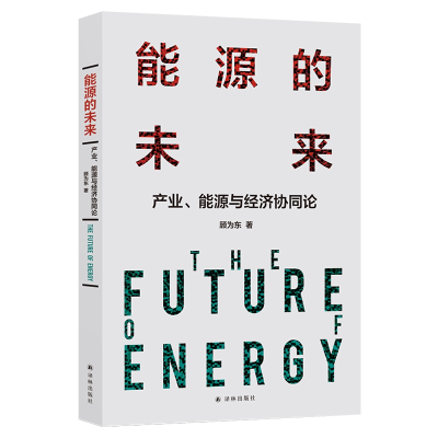 音像能源的未来:产业、能源与经济协同论顾为东