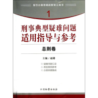 音像刑事典型疑难问题适用指导与参考(总则卷)赵路