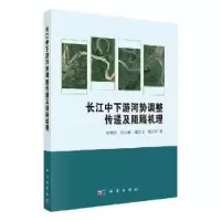 音像长江中下游河势调整传递及阻隔机理由星莹[等]著