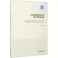 音像从文化视角探索乡村振兴的发展之路/经济管理学术文库曾蓉