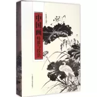 音像中国画特质与技法黄福康 编著