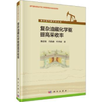 音像复杂油藏化学驱提高采收率施雷庭,冯茹森,叶仲斌著