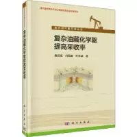 音像复杂油藏化学驱提高采收率施雷庭,冯茹森,叶仲斌著