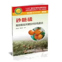 音像砂糖橘高效栽培关键技术彩色图说潘文力 黄文东