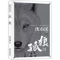 音像孤狼作者