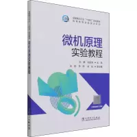音像微机原理实验教程刘麒,张振涛 编