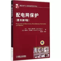 音像配电网保护