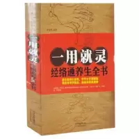 音像一用就灵:经络通养生全书矫浩然编著