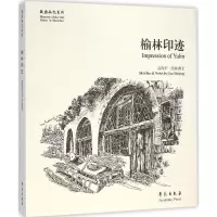 音像榆林印迹高海平 绘画,撰文