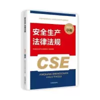 音像安全生产法律法规:2019版中国安全生产科学研究院