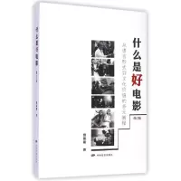 音像什么是好电影(从语言形式到文化价值的多元阐释修订版)贾磊磊