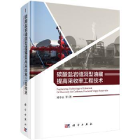 音像碳酸盐石缝洞型油藏提高采收率工程技术刘中云