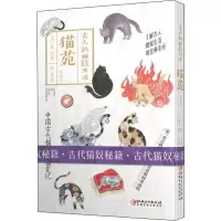 音像猫苑陈晨