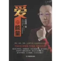 音像爱的能量刘祖斌 著