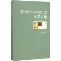 音像20世纪中国存在主义文学史论杨经建 著