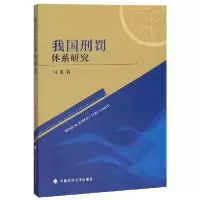 音像我国刑罚体系研究向准