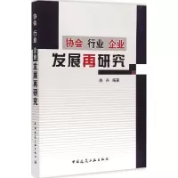 音像协会 行业 企业 发展再研究姚兵 编著