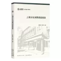 音像上海文化消费调查报告荣跃明,包亚明