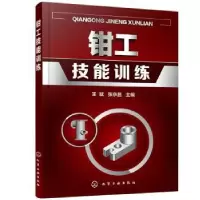 音像钳工技能训练王斌,张京昌