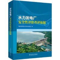 音像水力发电厂安全评查评依据电网有限司全