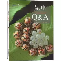 音像昆虫&A朱耀沂