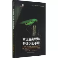 音像常见螽斯蟋蟀野外识别手册何祝清