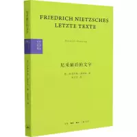音像尼采的文字 反基督者与被钉十字架者(德)海因里希·德特林