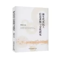 音像新生代农民工信息获取与分化研究樊振佳