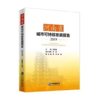 音像河南省城市可持续发展报告:2019耿明斋主编