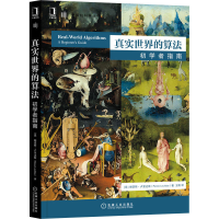 音像真实世界的算法 初学者指南(希)帕诺斯·卢里达斯