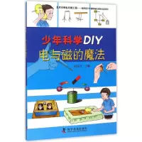 音像电与磁的魔法段伟文 主编