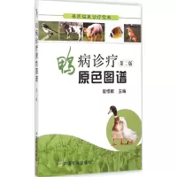 音像鸭病诊疗原色图谱崔恒敏 主编