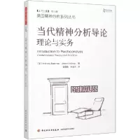 音像当代精神分析导论(理论与实务)/英国精神分析系列丛书