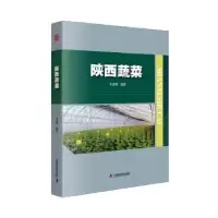 音像陕西蔬菜李建明