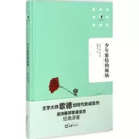 音像少年维特的烦恼(德)歌德 著;侯浚吉 译