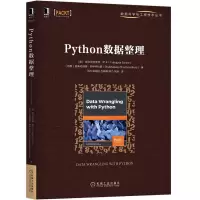 音像Python数据整理/数据科学与工程技术丛书