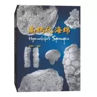 音像高钙化海绵范嘉松