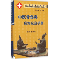 音像中医骨伤科应知应会手册詹红生 主编;严世芸 丛书主编