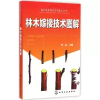 音像林木嫁接技术图解李友 主编