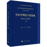 音像中医学理论专论集成:临床诊治理论石岩,傅海燕