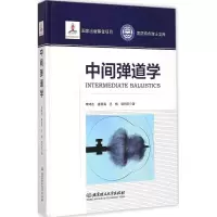 音像中间弹道学李鸿志 等 著