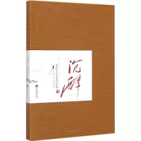 音像沉醉薛刊 著
